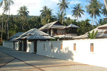 Coconut Paradise 42